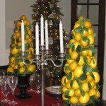 lemon topiary